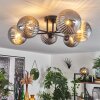 CHEHALIS Ceiling Light Smoke-coloured, 6-light sources