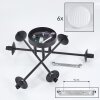 CHEHALIS Ceiling Light white, 6-light sources