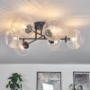CHEHALIS Ceiling Light clear, 6-light sources