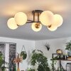 CHEHALIS Ceiling Light gold, black, 6-light sources