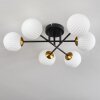 CHEHALIS Ceiling Light gold, black, 6-light sources