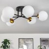 CHEHALIS Ceiling Light gold, black, 6-light sources