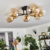 CHEHALIS Ceiling Light gold, black, 6-light sources