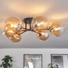 CHEHALIS Ceiling Light gold, black, 6-light sources