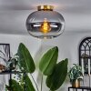 APEDO Ceiling Light - glass brass, black, 1-light source