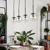 GASTOR Pendant Light - glass clear, 4-light sources