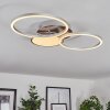 HOSUM Ceiling Light LED matt nickel, 1-light source