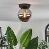 GASTOR Ceiling Light - glass Smoke-coloured, 1-light source