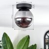 GASTOR Ceiling Light - glass Smoke-coloured, 1-light source