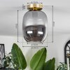 APEDO Ceiling Light - glass brass, 1-light source