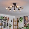 GASTOR Ceiling Light - glass clear, 7-light sources