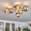 CHEHALIS Ceiling Light Smoke-coloured, 6-light sources