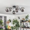 CHEHALIS Ceiling Light Smoke-coloured, 6-light sources