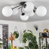 CHEHALIS Ceiling Light white, 6-light sources