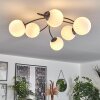 CHEHALIS Ceiling Light white, 6-light sources