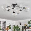 CHEHALIS Ceiling Light clear, 6-light sources