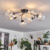 CHEHALIS Ceiling Light clear, 6-light sources