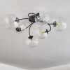 CHEHALIS Ceiling Light clear, 6-light sources