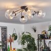 CHEHALIS Ceiling Light clear, 6-light sources