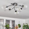 CHEHALIS Ceiling Light clear, 6-light sources