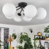 CHEHALIS Ceiling Light white, 6-light sources
