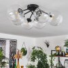 CHEHALIS Ceiling Light clear, 6-light sources