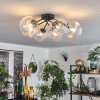 CHEHALIS Ceiling Light clear, 6-light sources