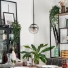 GASTOR Pendant Light - glass clear, Smoke-coloured, 1-light source