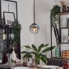 GASTOR Pendant Light - glass clear, Smoke-coloured, 1-light source
