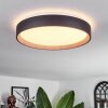 SASSEMTE Ceiling Light LED white, 1-light source