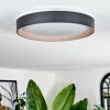 SASSEMTE Ceiling Light LED white, 1-light source
