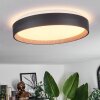 SASSEMTE Ceiling Light LED white, 1-light source