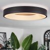 PALANKO Ceiling Light LED white, 1-light source, Remote control