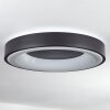 PALANKO Ceiling Light LED white, 1-light source, Remote control