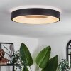PALANKO Ceiling Light LED white, 1-light source, Remote control