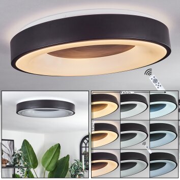 PALANKO Ceiling Light LED white, 1-light source, Remote control