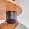KOYOTO Ceiling Light - glass Ecru, black, 5-light sources