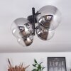 CHEHALIS Ceiling Light - glass clear, Smoke-coloured, 4-light sources