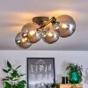 CHEHALIS Ceiling Light - glass Smoke-coloured, 4-light sources