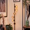REMAISNIL Floor Lamp - glass black, 6-light sources