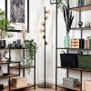 REMAISNIL Floor Lamp - glass black, 6-light sources
