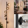 REMAISNIL Floor Lamp - glass black, 6-light sources