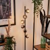 REMAISNIL Floor Lamp - glass black, 6-light sources