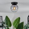 GASTOR Ceiling Light - glass clear, Smoke-coloured, 1-light source