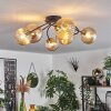 CHEHALIS Ceiling Light - glass gold, black, 6-light sources