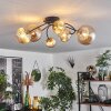 CHEHALIS Ceiling Light - glass gold, black, 6-light sources