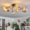 CHEHALIS Ceiling Light - glass gold, black, 6-light sources