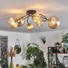 CHEHALIS Ceiling Light - glass gold, black, 6-light sources
