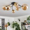 CHEHALIS Ceiling Light - glass gold, black, 6-light sources