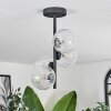 CHEHALIS Ceiling Light - glass clear, 4-light sources